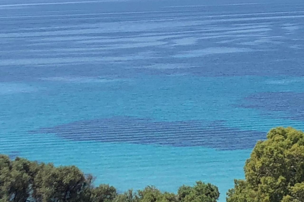 Nice And Bright 60 M With Terrace View On The Sea Ajaccio  Esterno foto